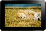 Amazon Kindle Fire HD 8.9 4G